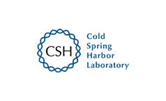 cold spring LAB